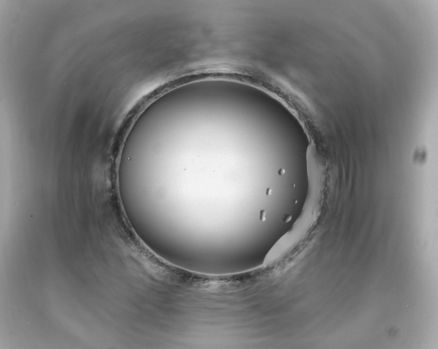 X0000091941166200709121613