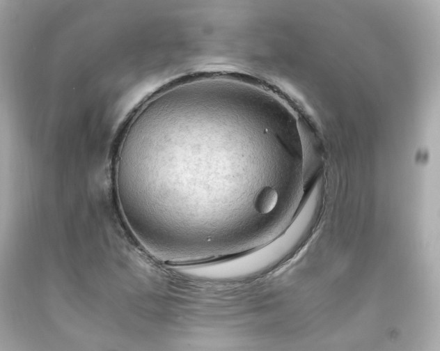 X0000091941167200709121613