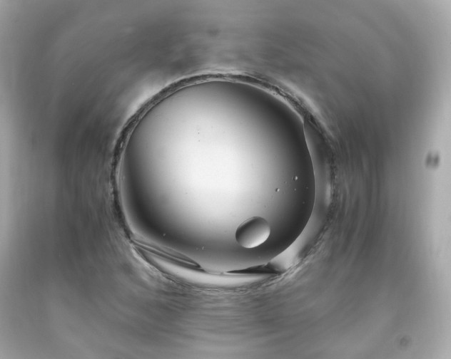 X0000091941168200709121613