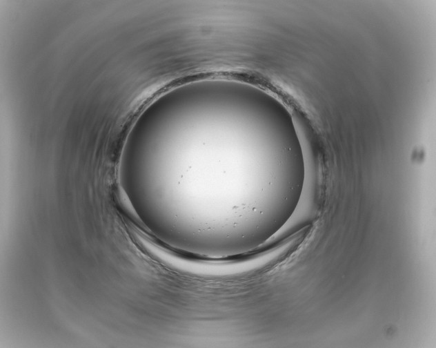 X0000091941169200709121613