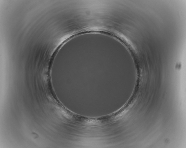 X0000091941170200709121613