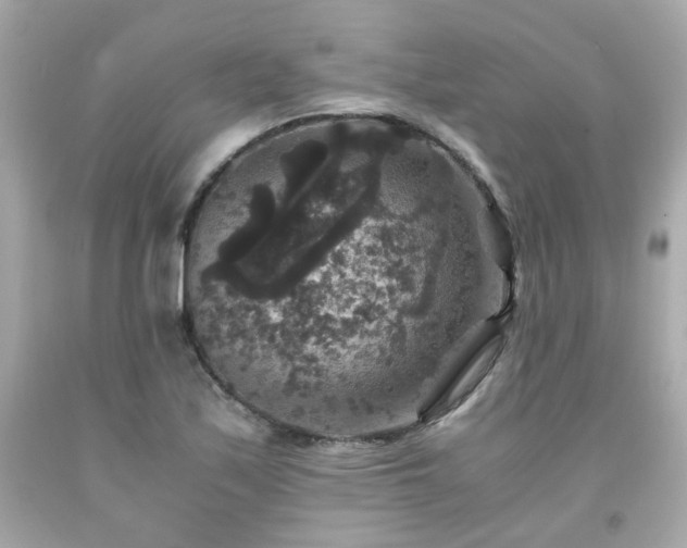 X0000091941171200709121613