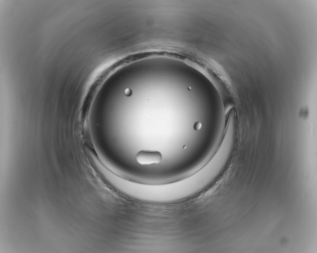 X0000091941172200709121613