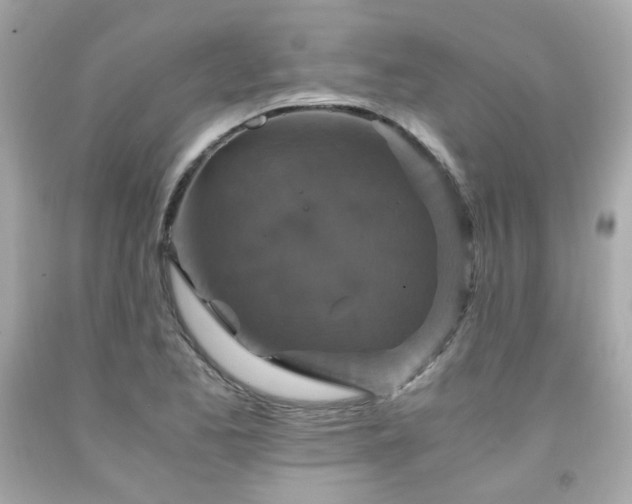 X0000091941173200709121613