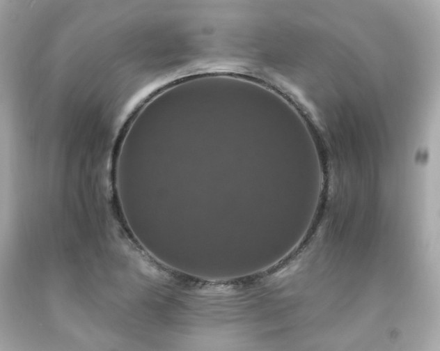 X0000091941174200709121613