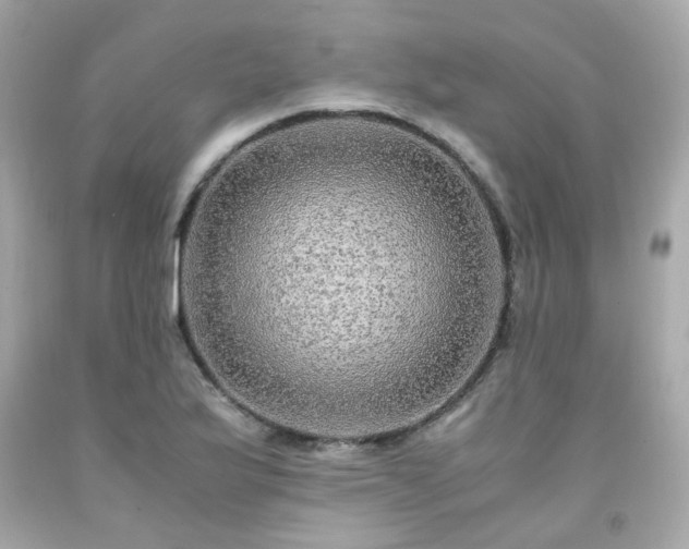 X0000091941175200709121613