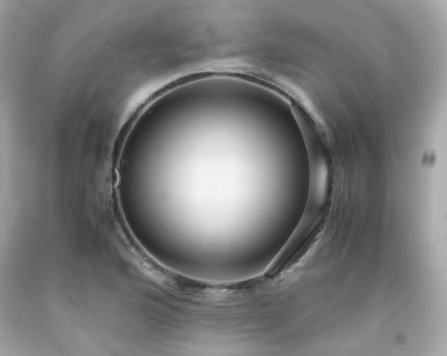 X0000091941176200709121613