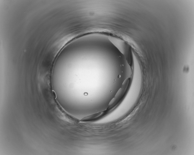 X0000091941177200709121613