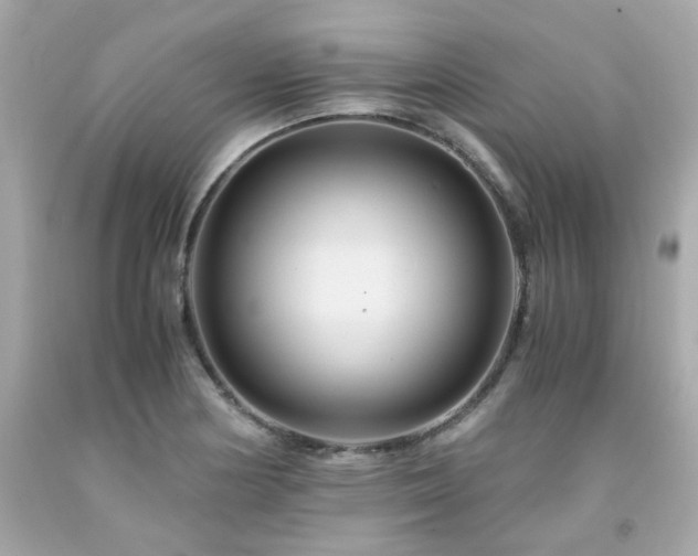 X0000091941178200709121613