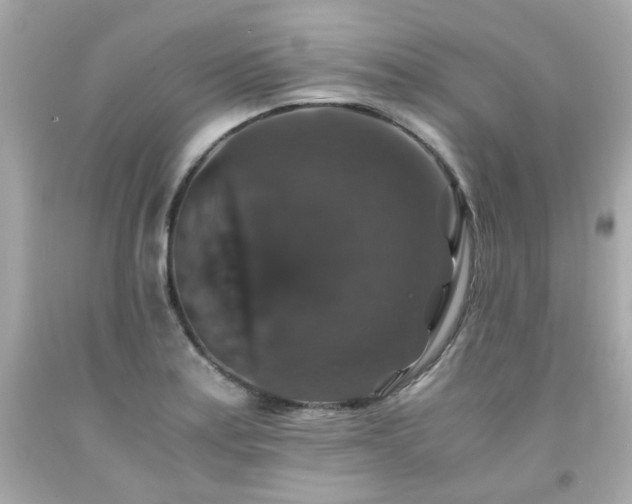 X0000091941179200709121613