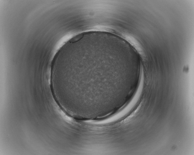 X0000091941180200709121613