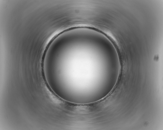 X0000091941181200709121613