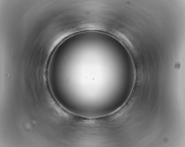 X0000091941182200709121613