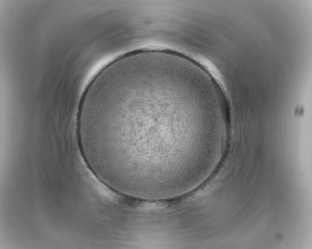 X0000091941183200709121613