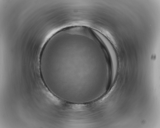 X0000091941184200709121613