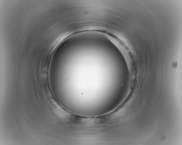 X0000091941185200709121613