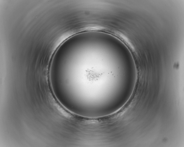 X0000091941186200709121613