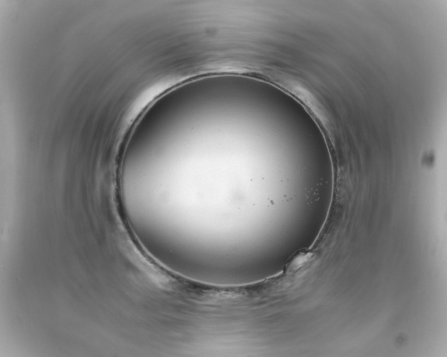 X0000091941187200709121613