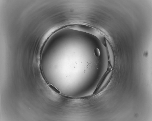 X0000091941188200709121613