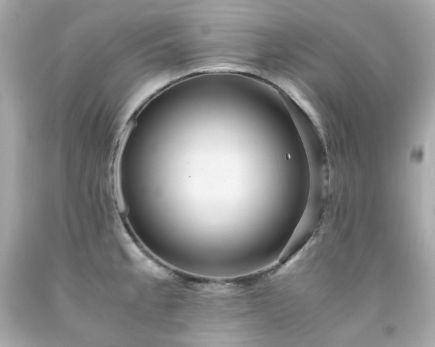 X0000091941189200709121613