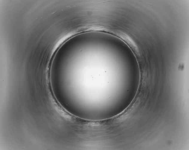 X0000091941190200709121613