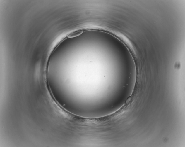 X0000091941191200709121613