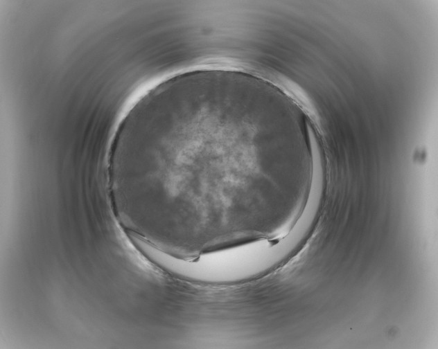 X0000091941192200709121613