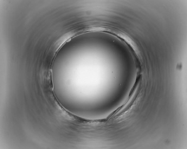 X0000091941193200709121613