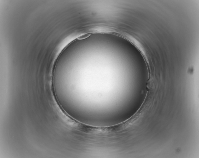 X0000091941195200709121613