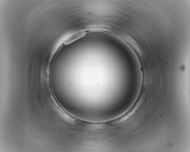 X0000091941196200709121613