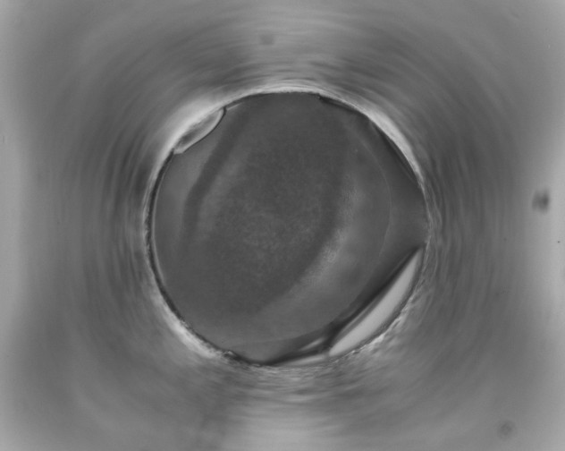 X0000091941197200709121613