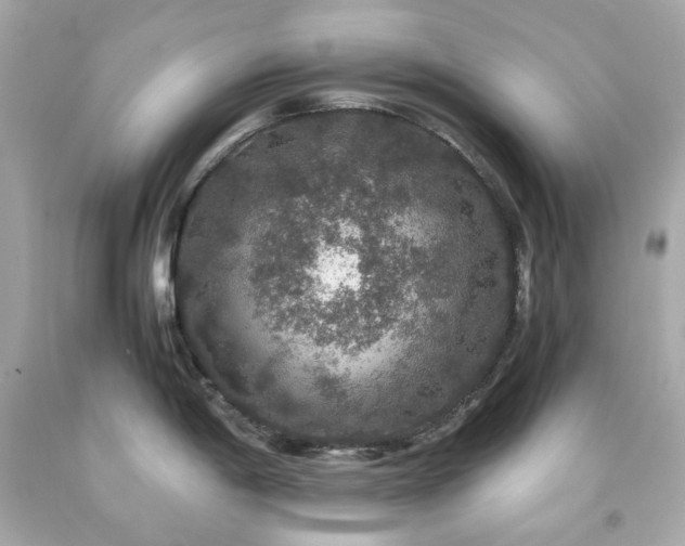 X0000091941198200709121613