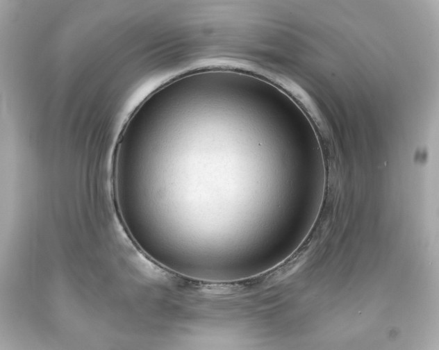 X0000091941199200709121613