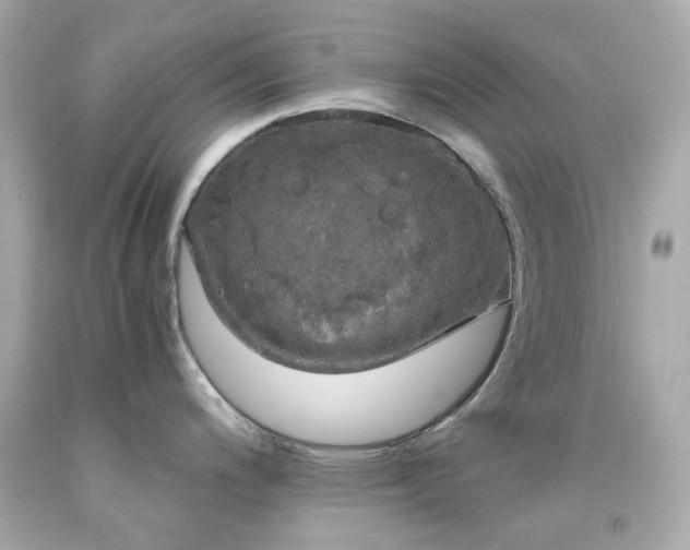 X0000091941200200709121613