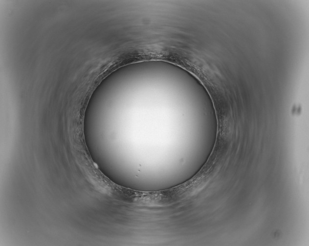 X0000091941201200709121612