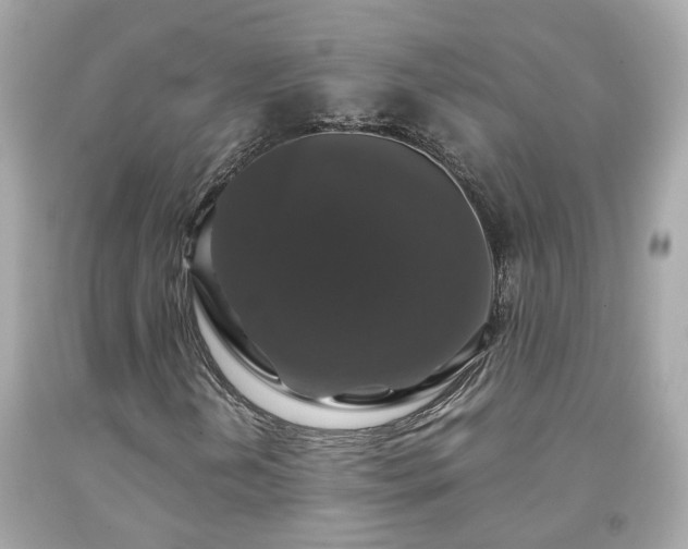 X0000091941202200709121612