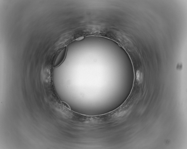 X0000091941203200709121612