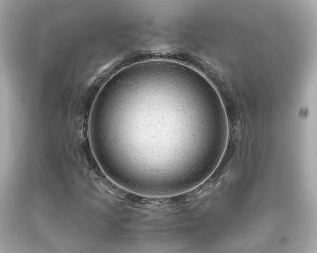 X0000091941205200709121612