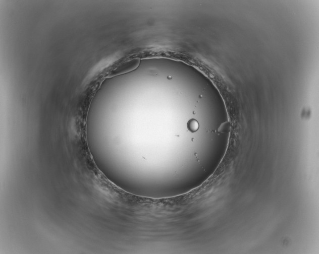 X0000091941207200709121612