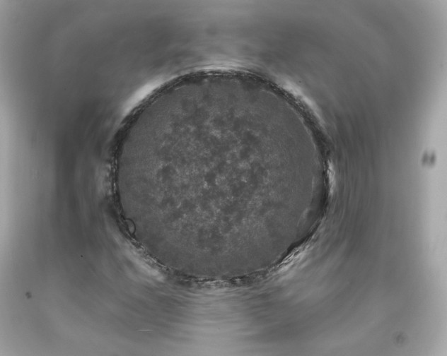 X0000091941208200709121612