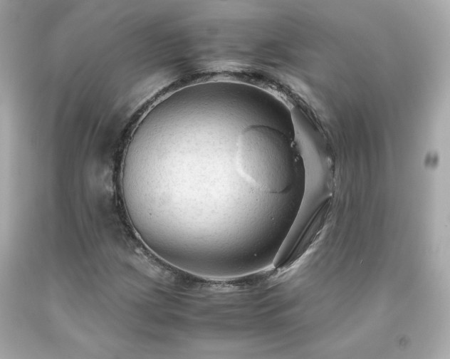 X0000091941209200709121612