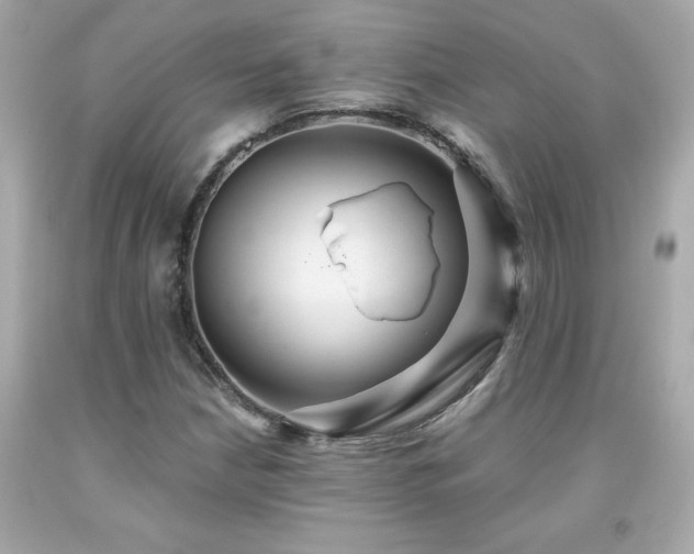 X0000091941210200709121612