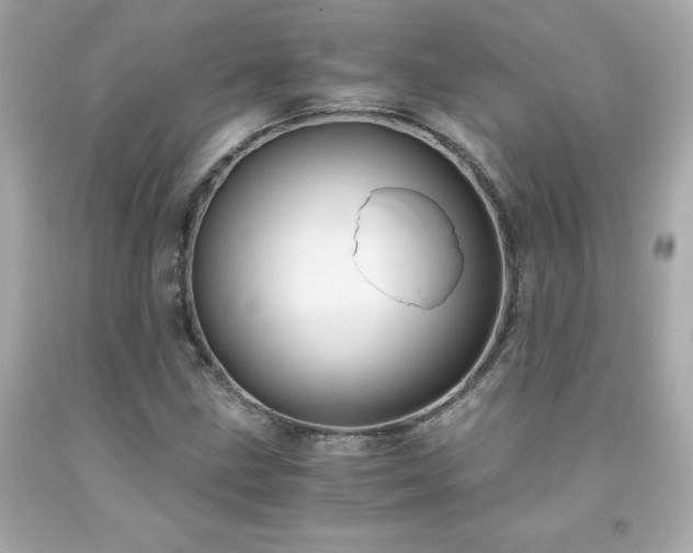 X0000091941211200709121612