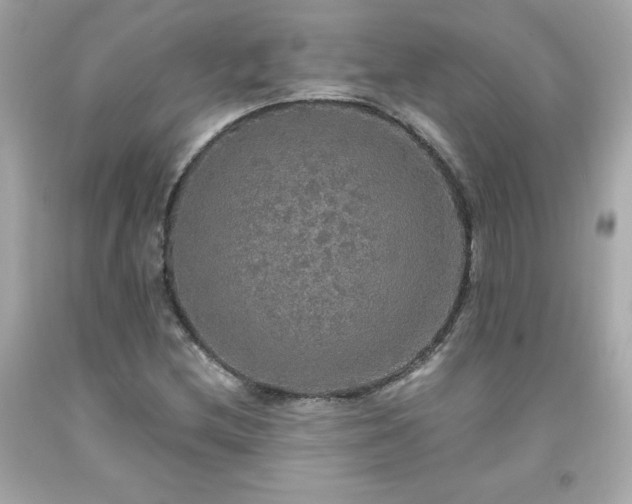 X0000091941212200709121612