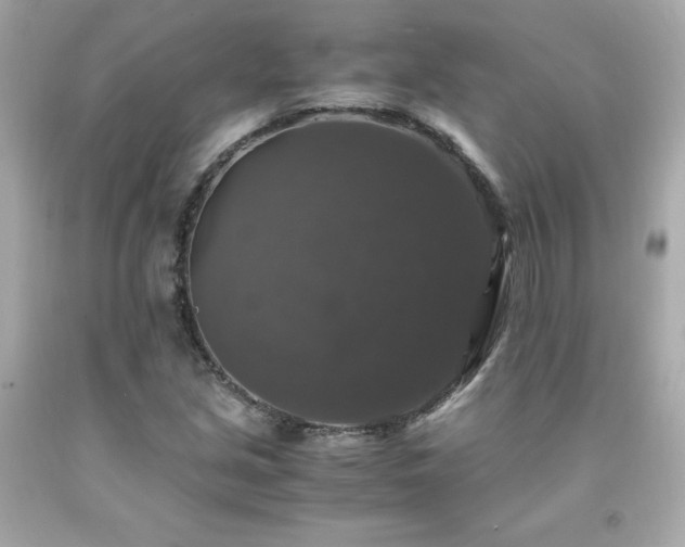 X0000091941213200709121612