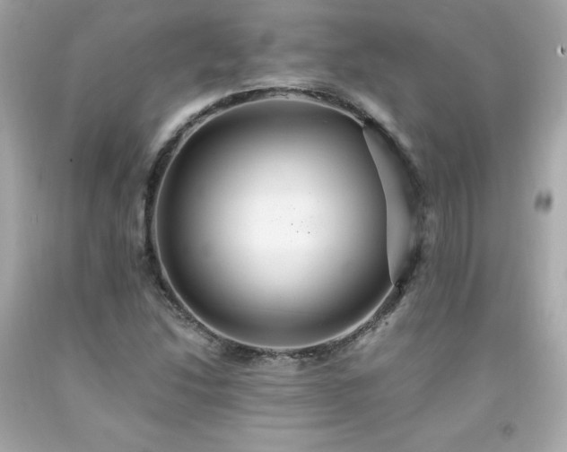 X0000091941214200709121612