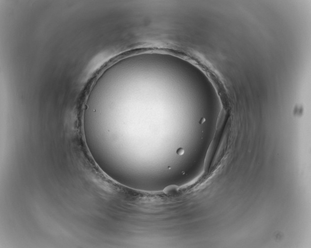 X0000091941215200709121612