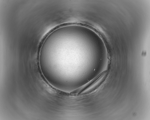 X0000091941216200709121612