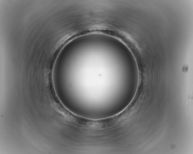 X0000091941217200709121612