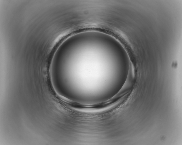 X0000091941218200709121612